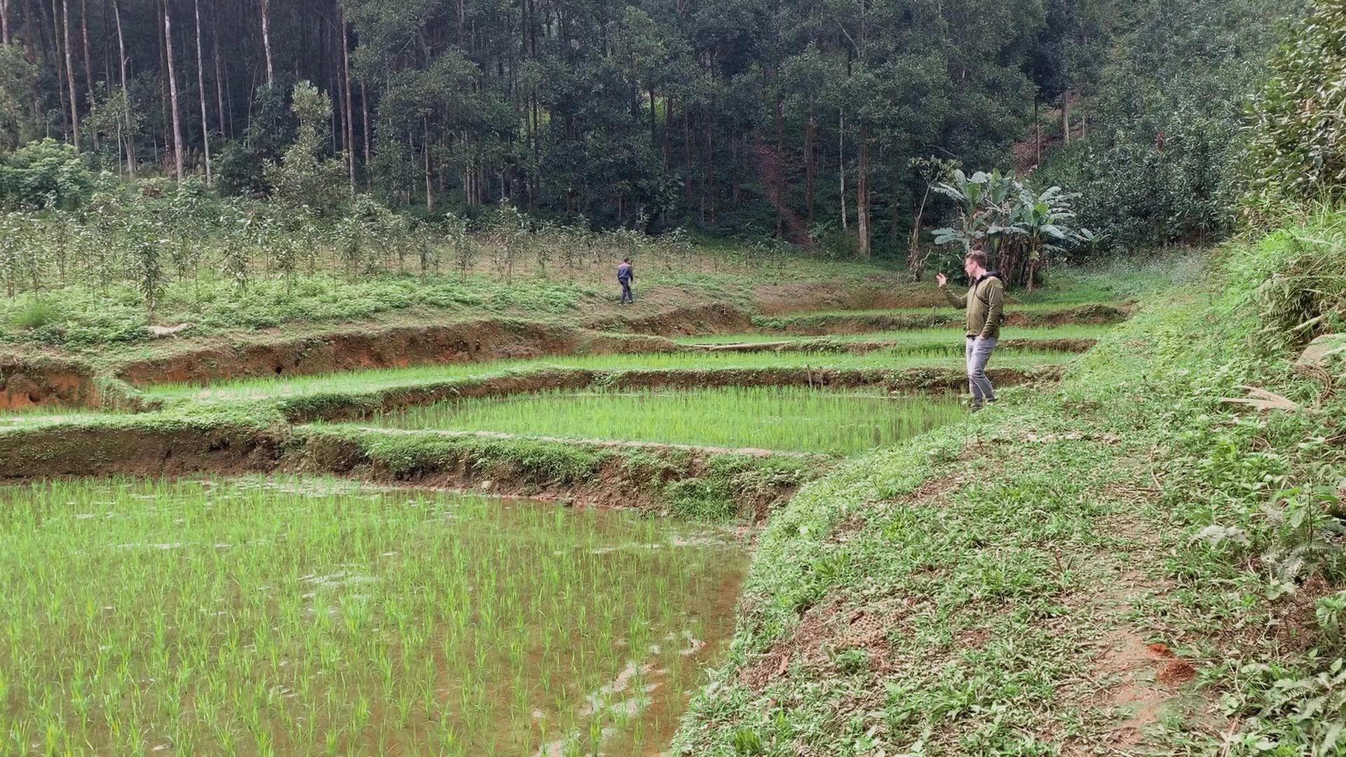 ethically sourced spices