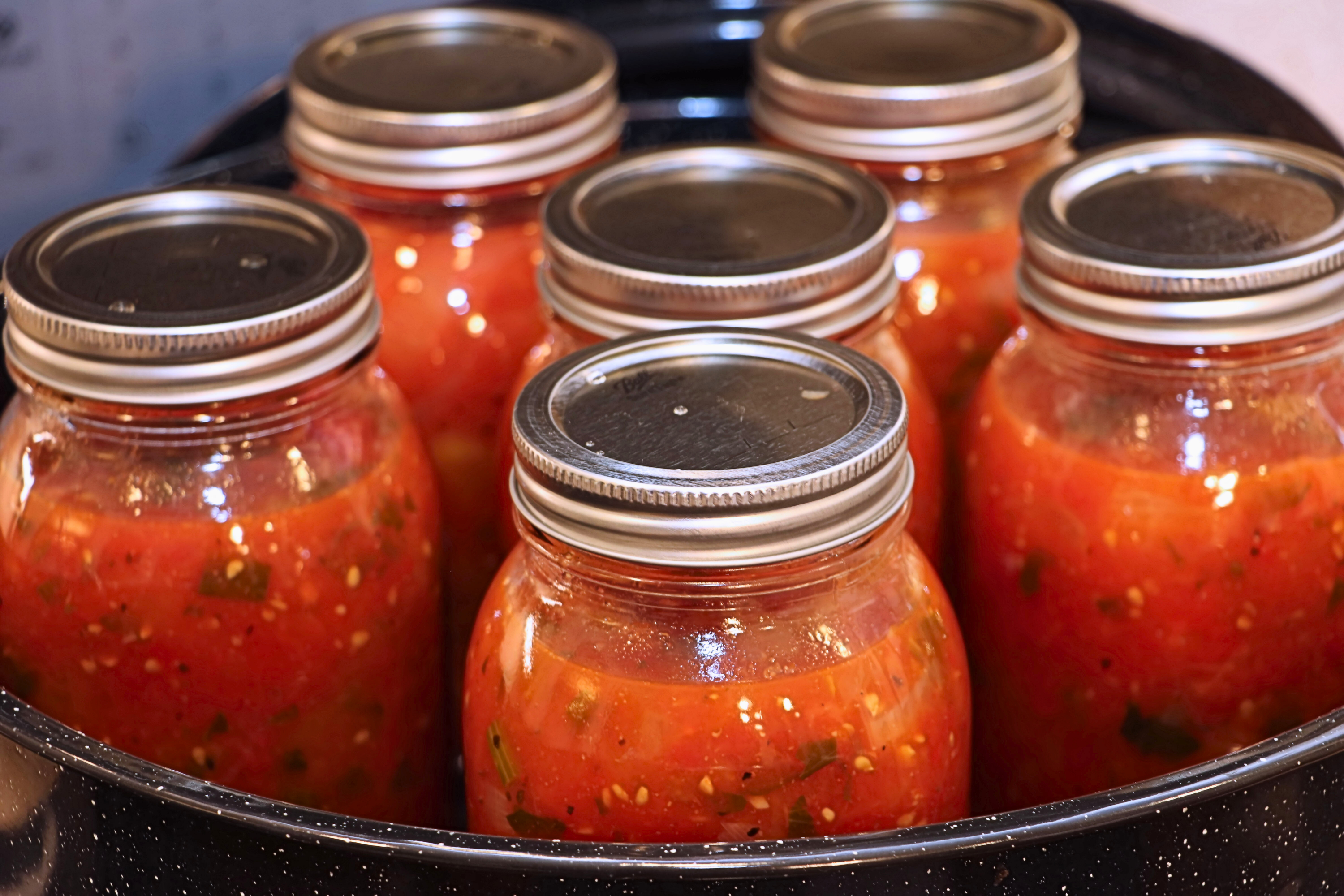 Beginner's Guide to Homesteading CANNING