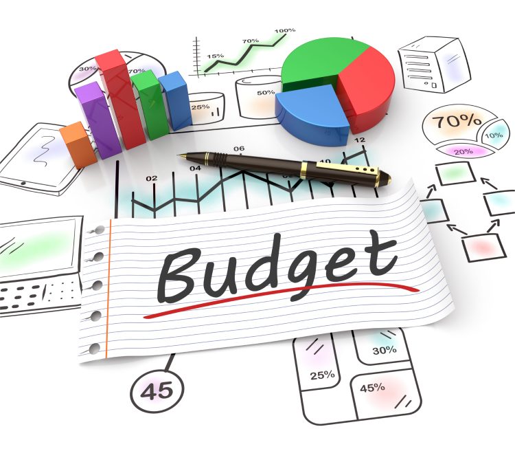 Budget Financial Challenges