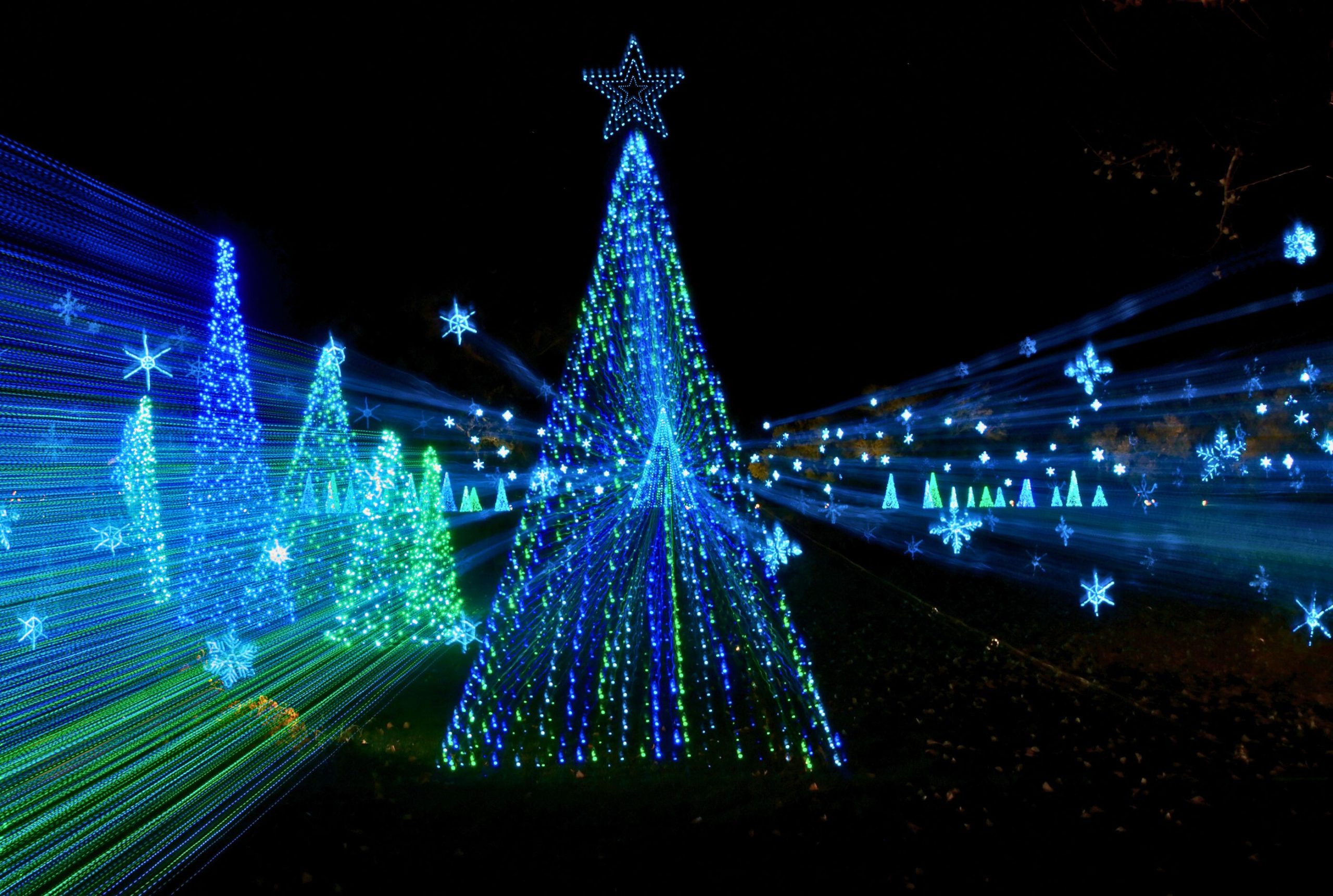 Christmas Light Show