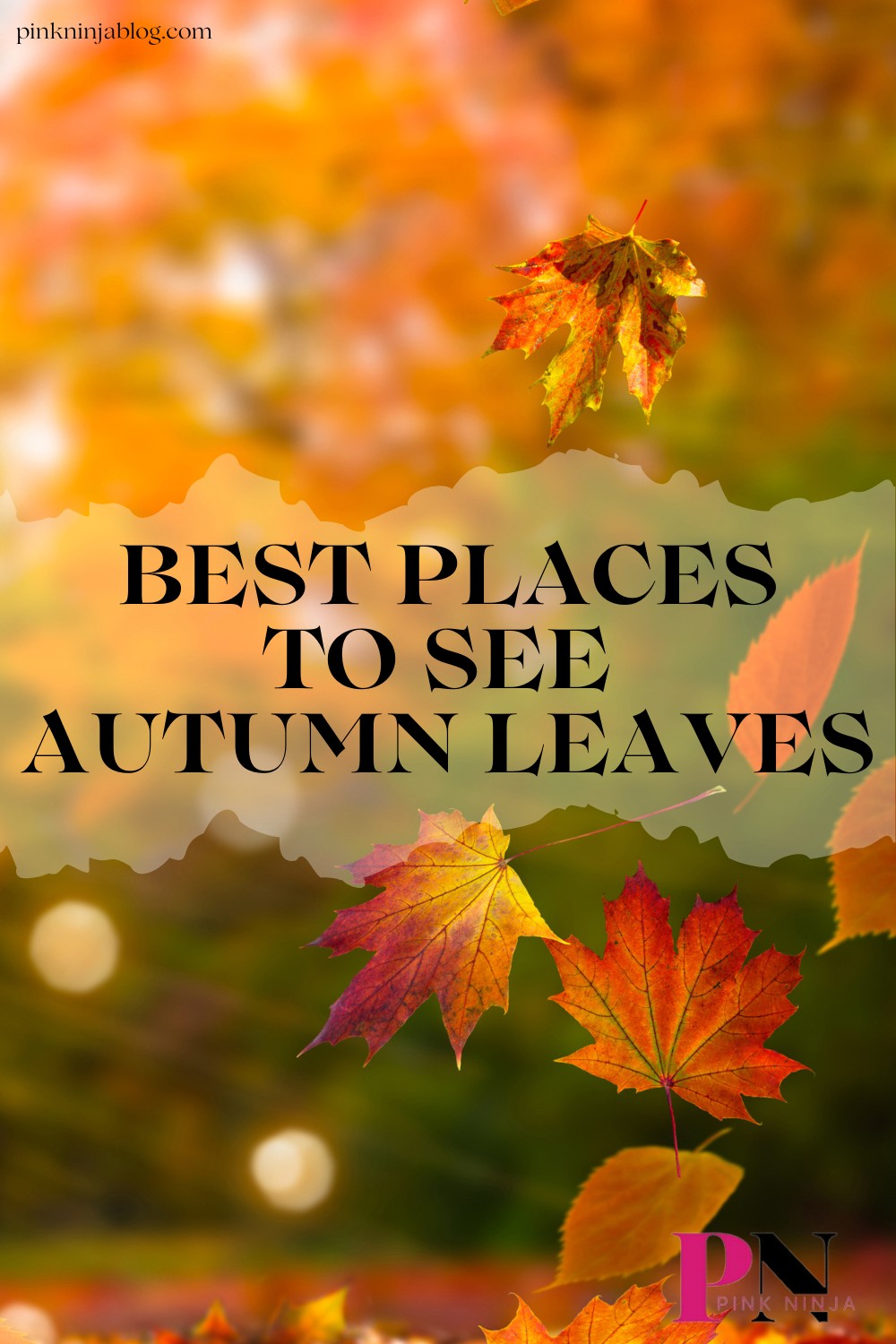 Fall Travel PIN