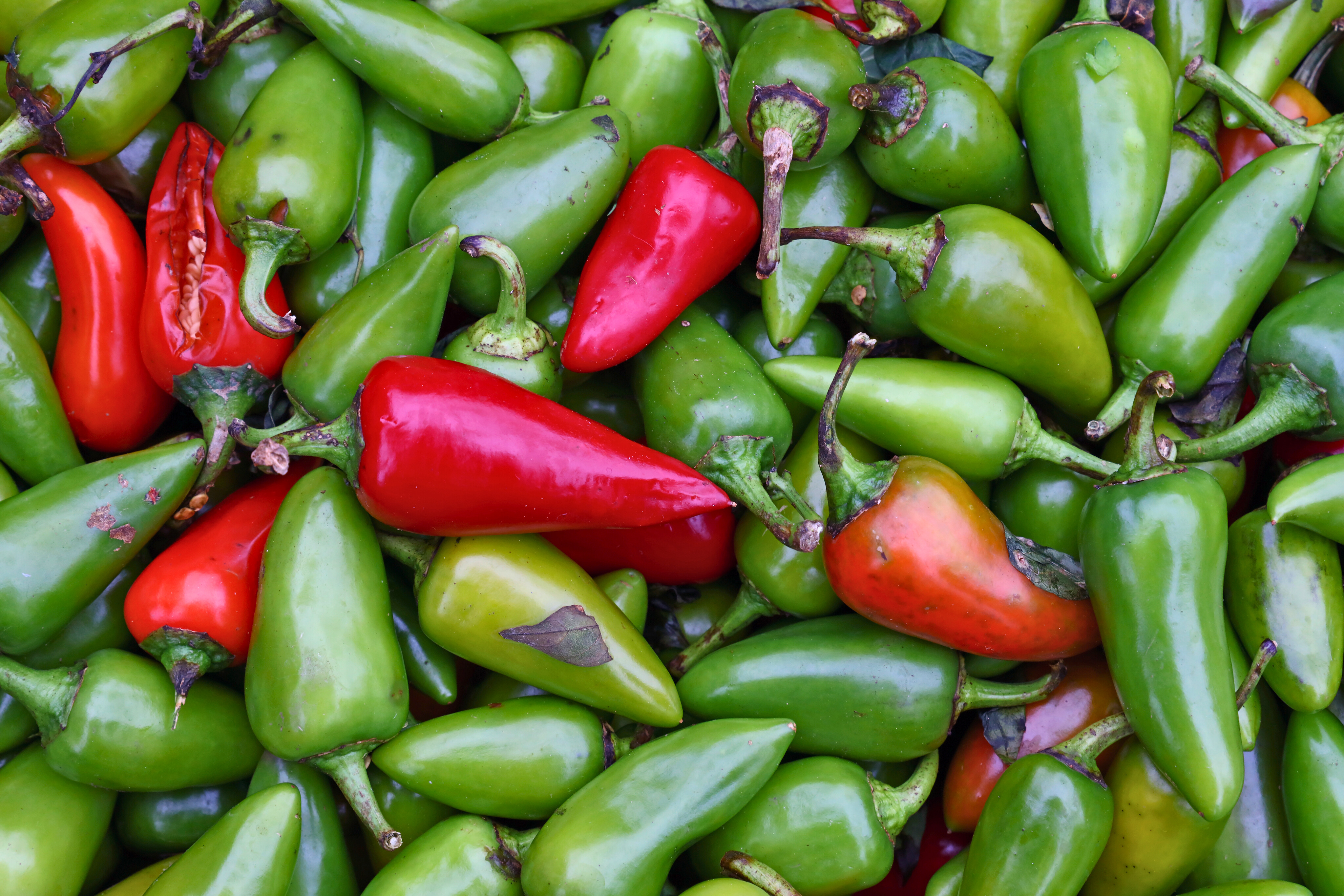 Jalapeno Poppers