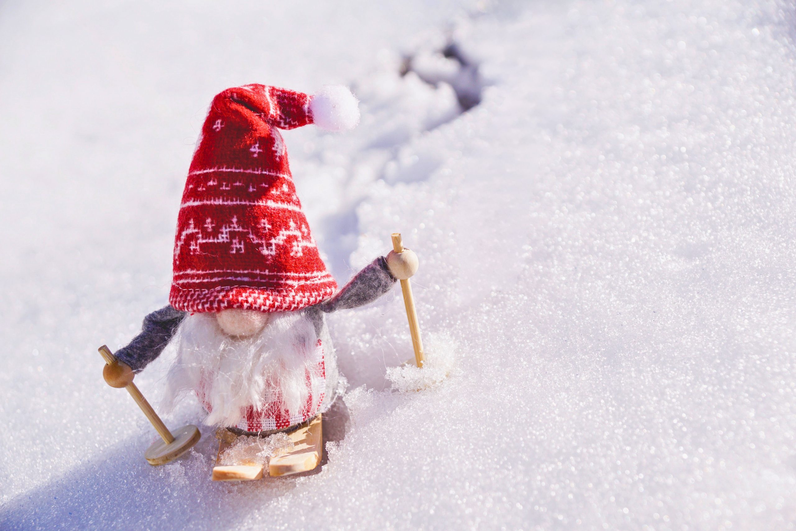 Snow Gnome