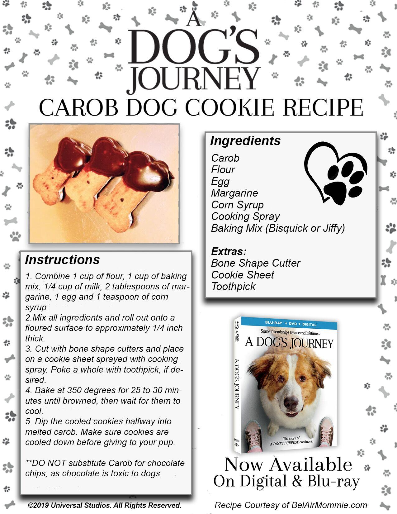 A Dog's Journey