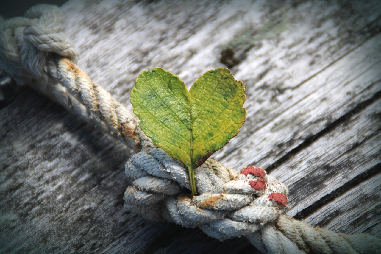 Gratitude Tree