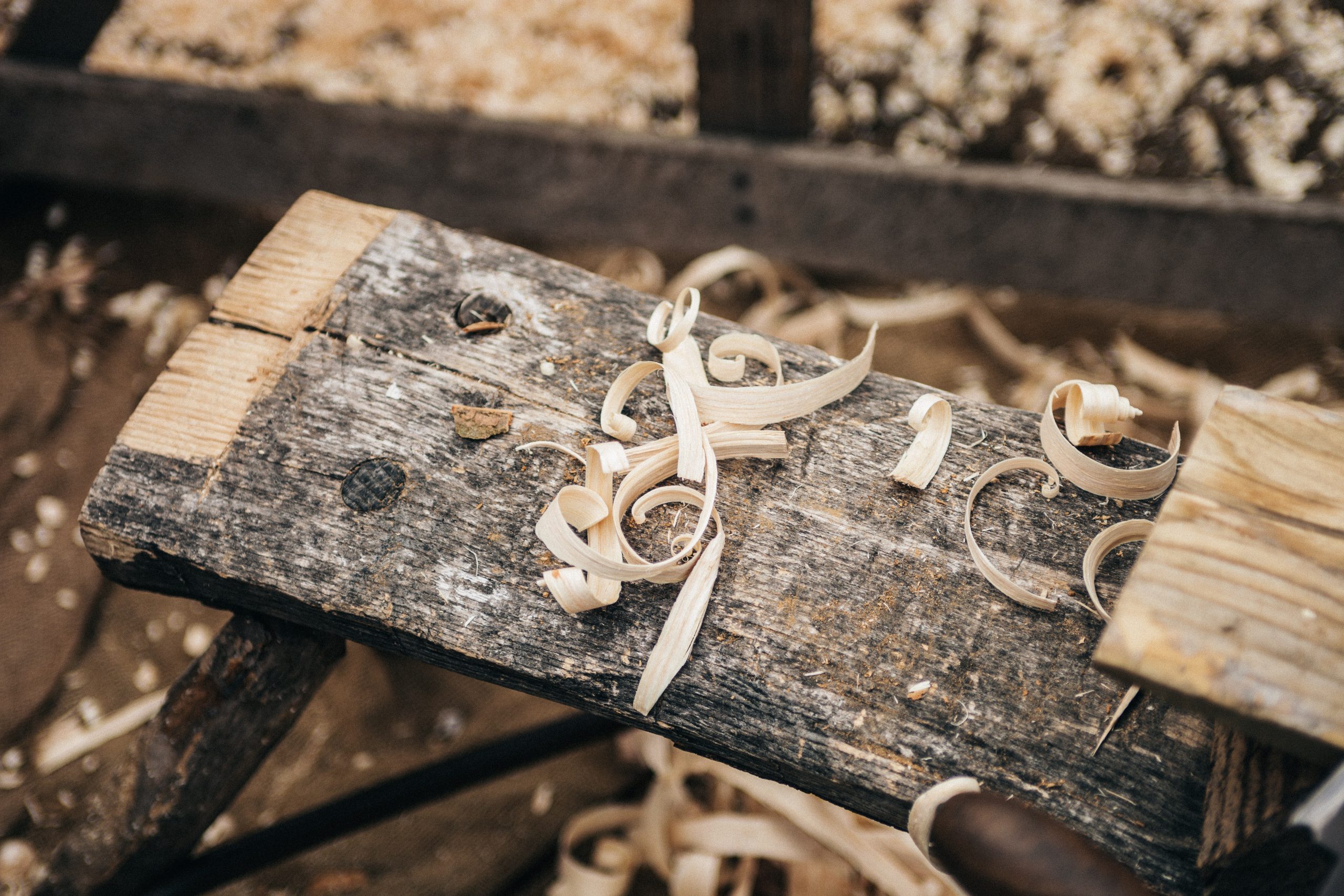 Beginner's Guide to Homesteading WOODWORKING
