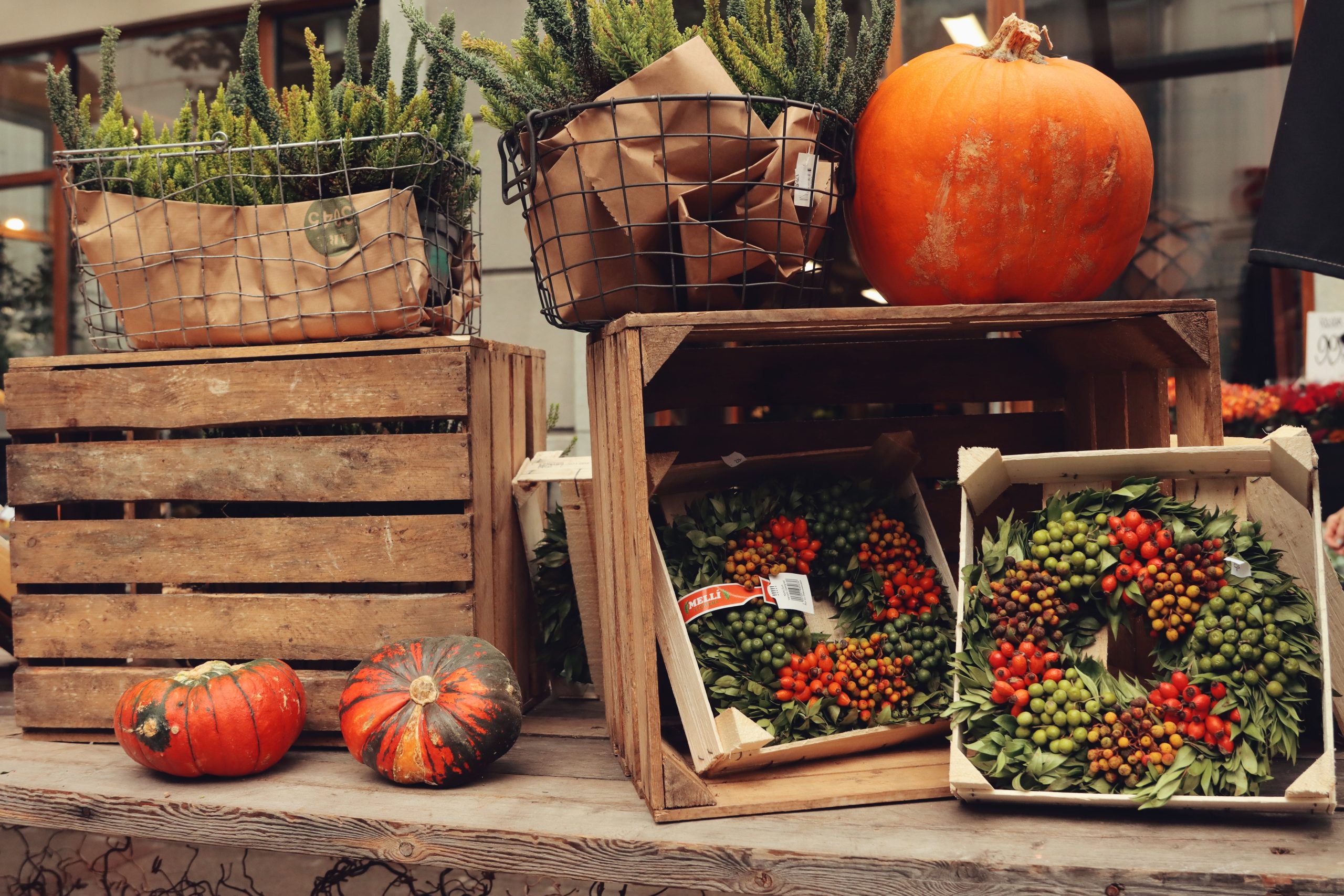 Fall Festival