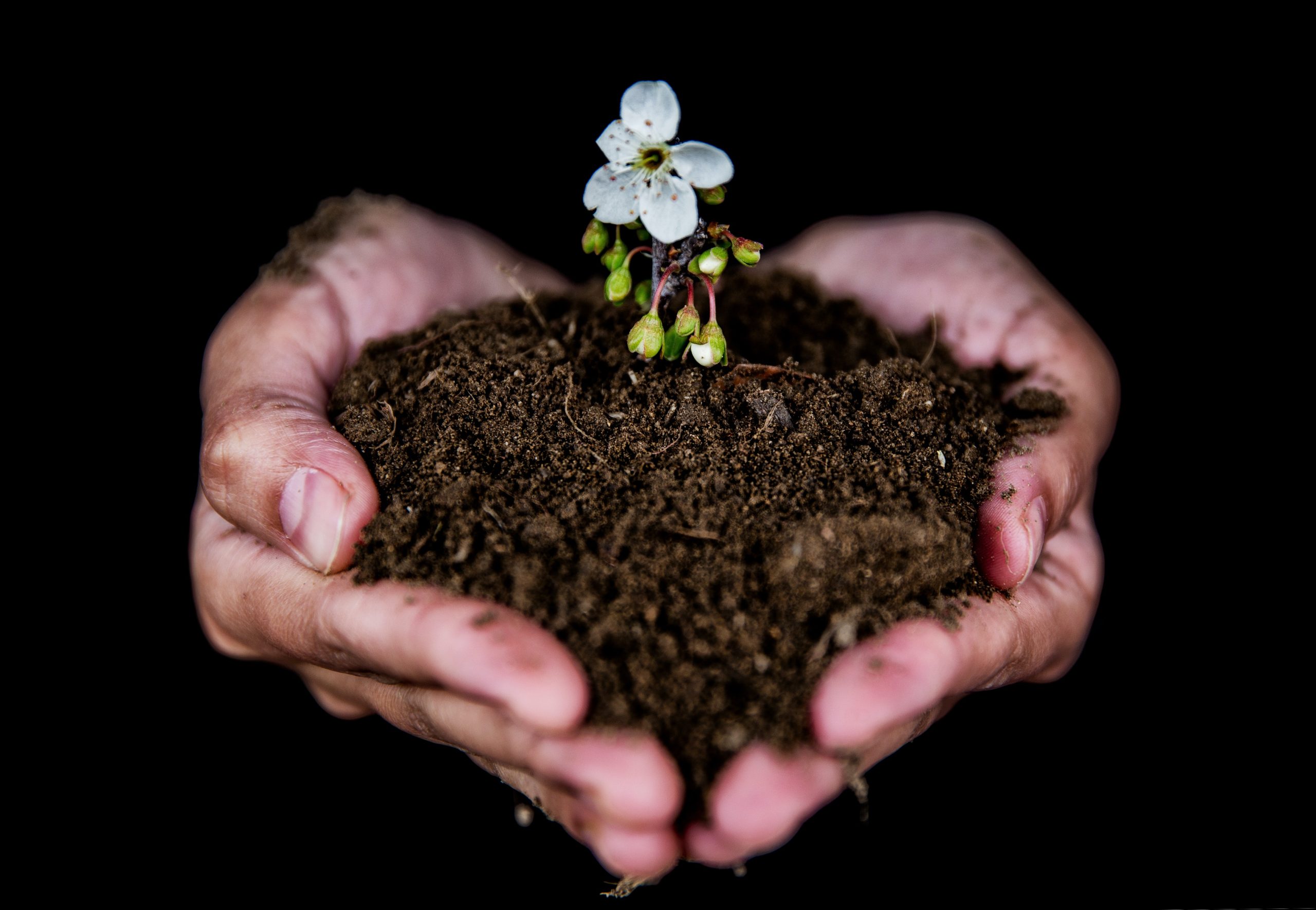 Beginner's Guide to Homesteading COMPOSTING