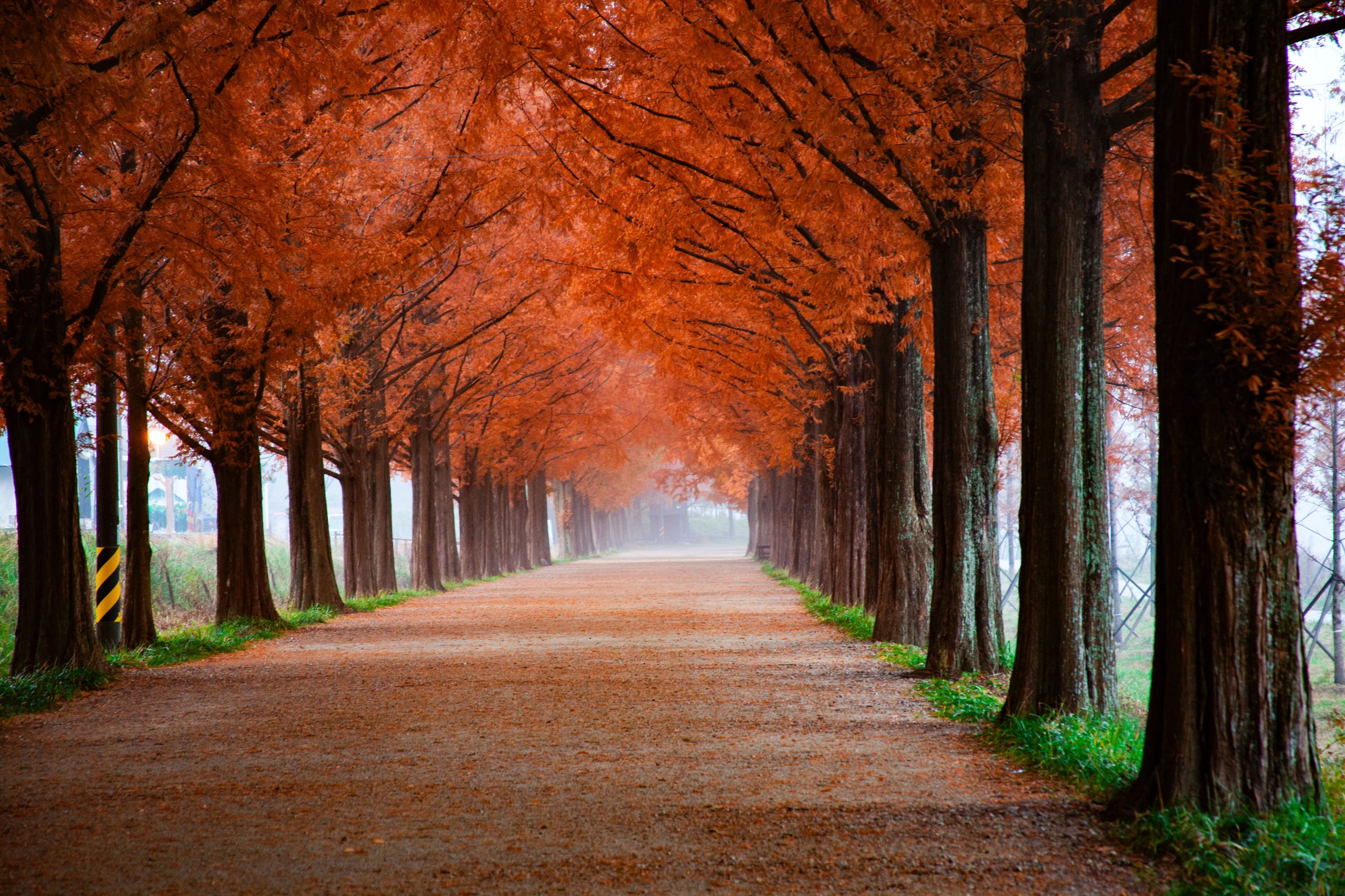 Best Places to See Autumn Leaves